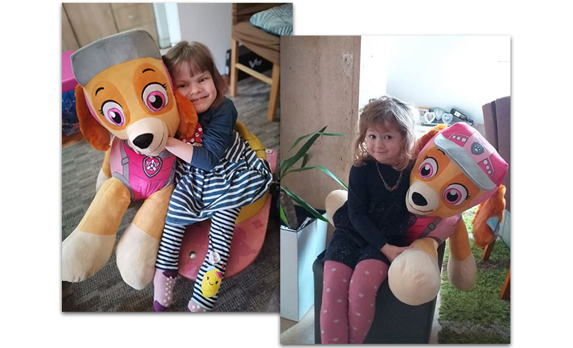 Plišane igračke paw patrol