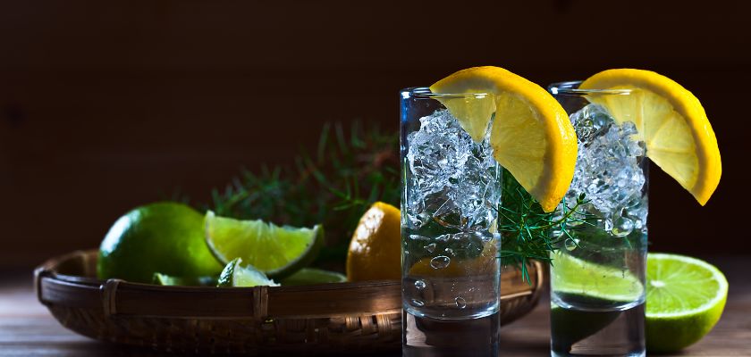 Gin sa limetom i limunom