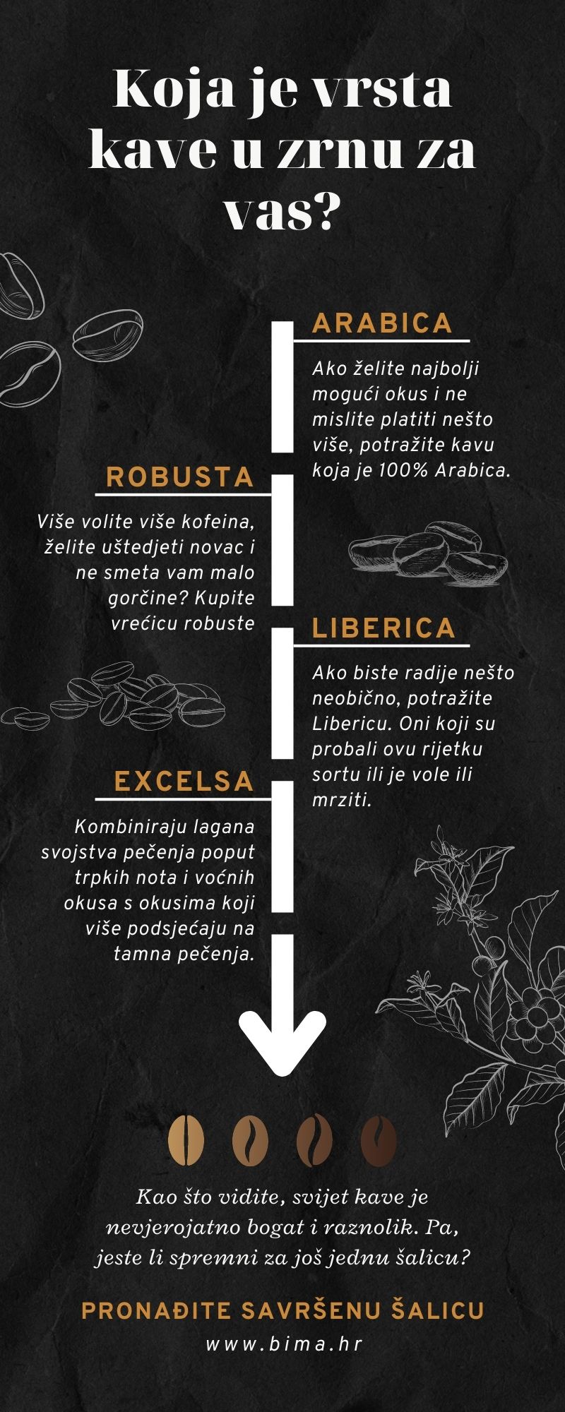 inforgrafika koja je vrsta kave za vas?