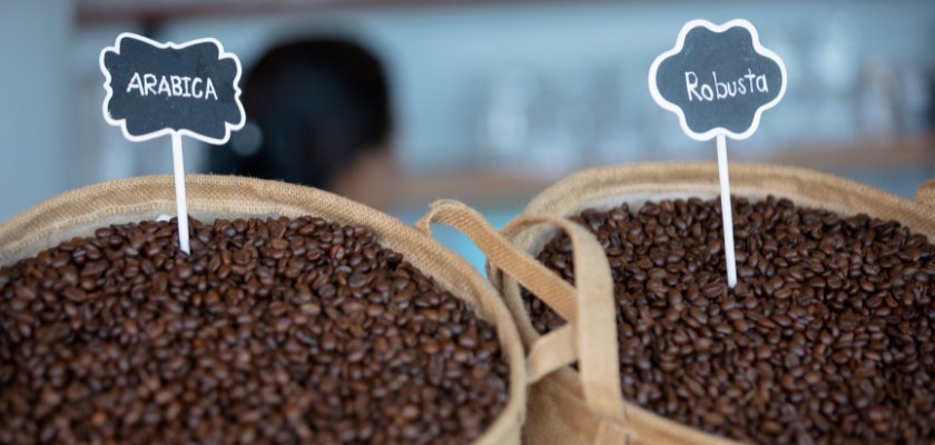 Arabica i Robusta kava u vreci u zrnu