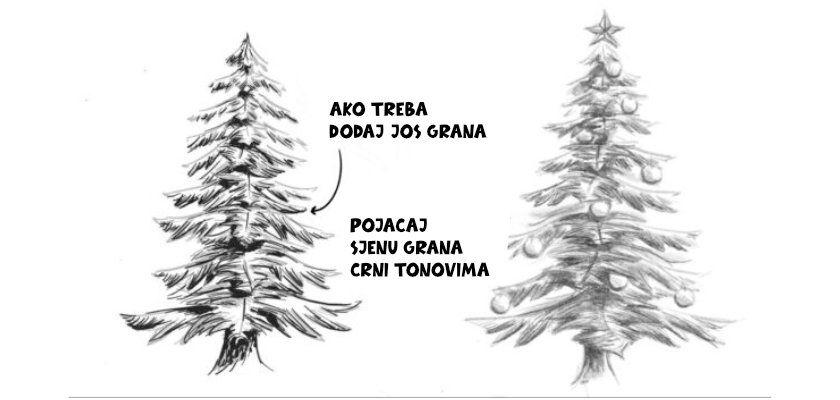 Kako najlakše nacrtati bor?