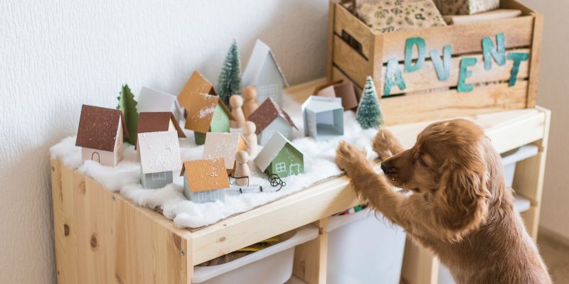 ADVENTSKI KALENDAR ZA KUĆNE LJUBIMCE
