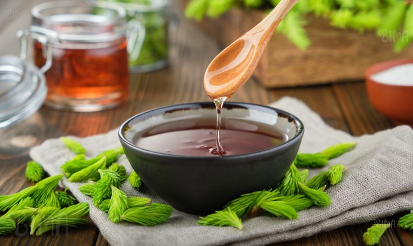 Kako se borove iglice pripreme za pripremu meda