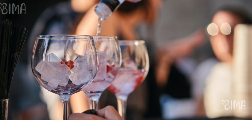 Začini za gin