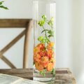 VAZA STAKLENA FLORA-BOTANICA CILINDAR 26,5 cm