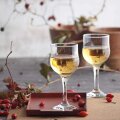 ČAŠE STAKLENE TULIPE NA STALKU 6/1 200 mL