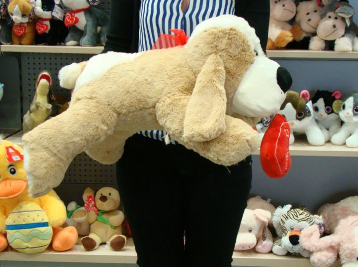 PAS PLIŠANI LEŽEĆI 65 CM SA SRCEM - SORT BOJE