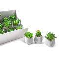 CVIJEĆE UMJETNO KAKTUS U KERAMIČKOJ TEGLICI 10,5x5,5 CM - SORT