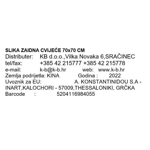 SLIKA ZIDNA CVIJEĆE 70x70 CM