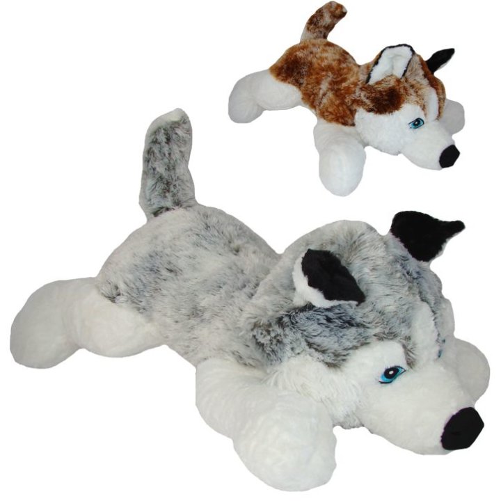 PLIŠANI HUSKY