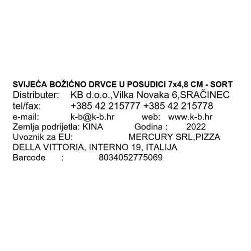 SVIJEĆA BOŽIĆNO DRVCE U POSUDICI