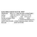 SLIKA ZIDNA CANVAS 50x70 CM - MOST
