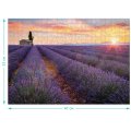 PUZZLE 500 DIJELNE - LAVANDA - VALENSOLE FRANCUSKA