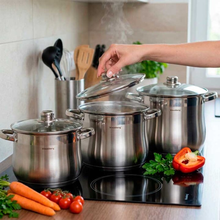 INDUKCIJSKI SET POSUĐA INOX SA STAKLENIM POKLOPCIMA SET 6/1
