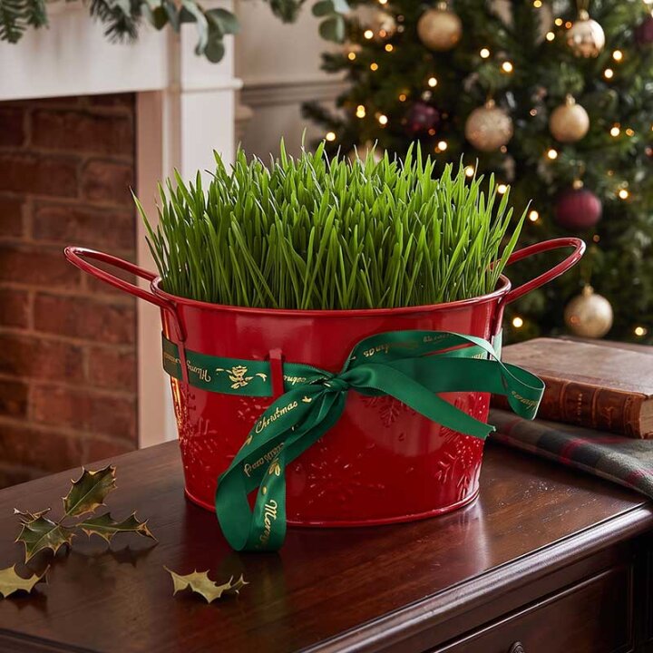 POSUDICA BOŽIĆNA METALNA S DRŠKAMA 17x10 CM