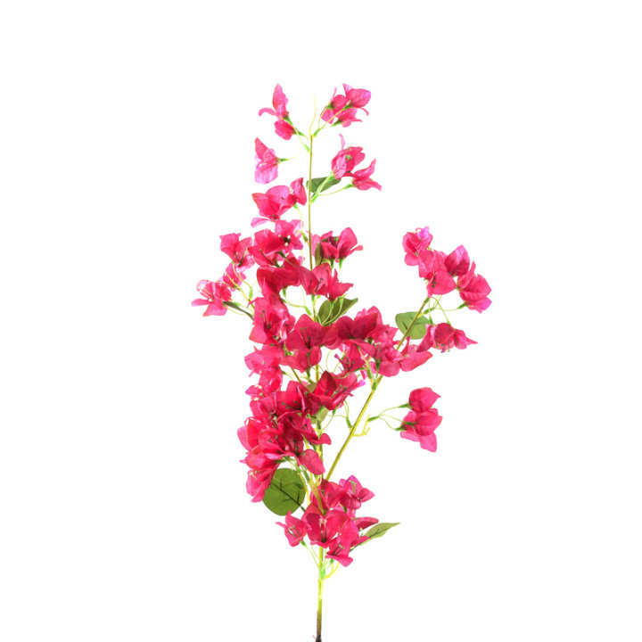 GRANA BUGENVILIJE 110 CM