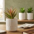 UMJETNO CVIJEĆE KAKTUS U TEGLICI 10x17 CM - NATURAL LIVING