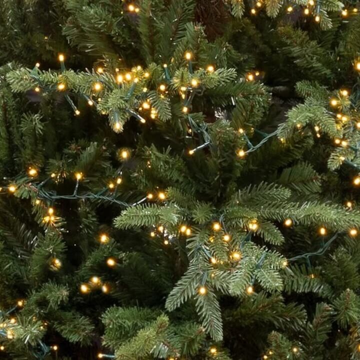 LED ŽARULJICE ZA BOR 200/1 CLASSIC TOPLO ŽUTE VANJSKE S FUNKCIJAMA 10 m