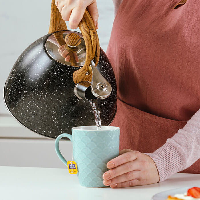 ČAJNIK 3 L INOX NATURE - CRNI S PISKOM