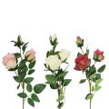 GRANA S RUŽAMA 79 CM - SORT