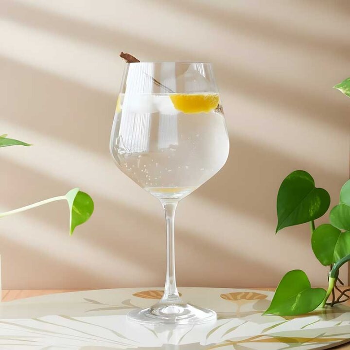 ČAŠE ZA CRNO VINO KRISTALIN SANDRA 6/1 570 mL