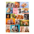 PUZZLE MAČIĆI 1000 DIJELNE