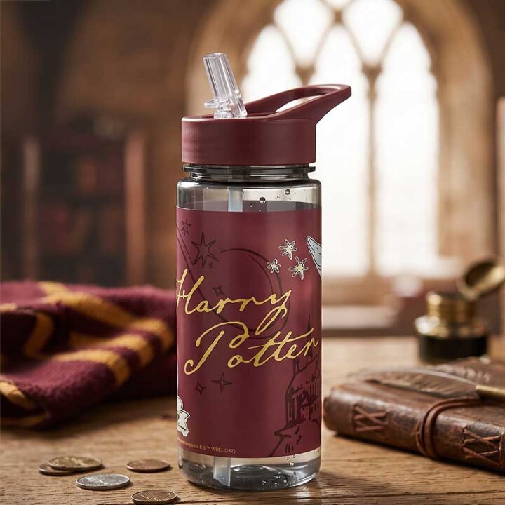 BOČICA SA SLAMKOM 500 mL - HARRY POTTER