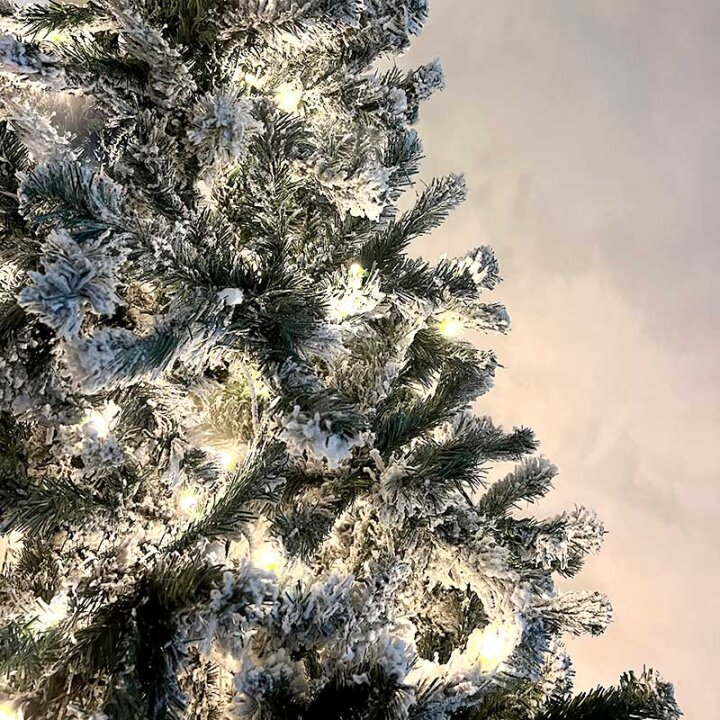 BOŽIĆNO DRVCE SA 250 LED LAMPICA MOUNT EVANS 180 CM