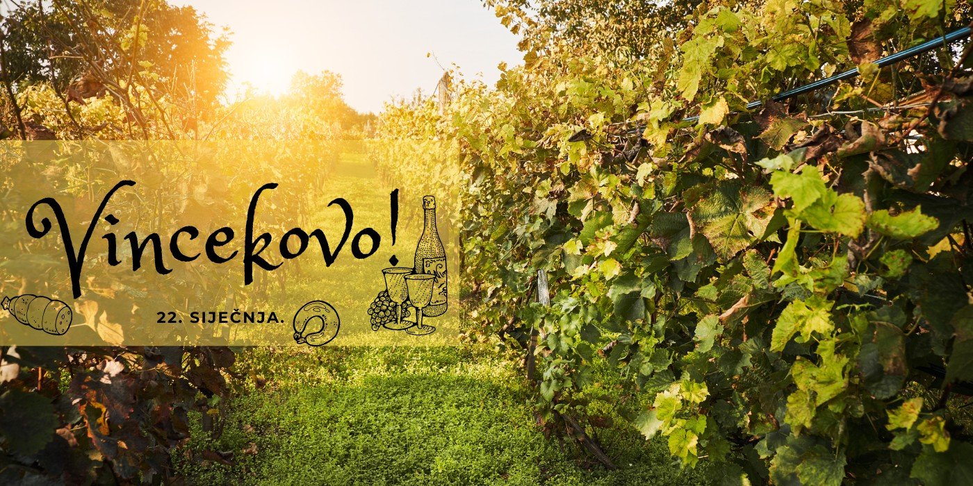 Što je to Vincekovo?