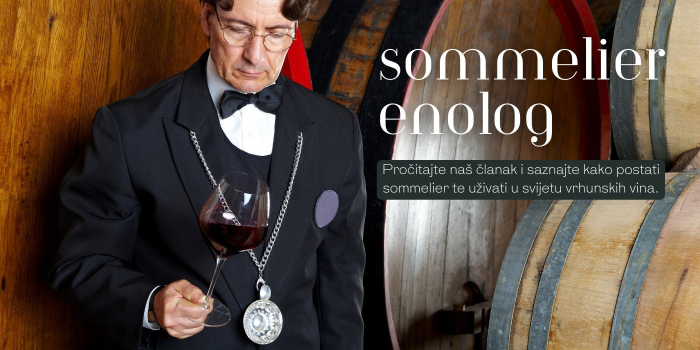 Kako se zove stručnjak za vino. Pročitajte naš članak i saznajte kako postati sommelier te uživati u svijetu vrhunskih vina.