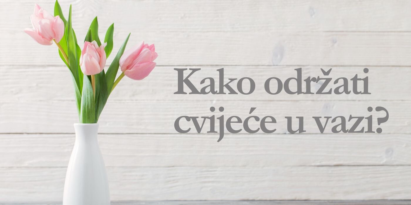 Kako održati cvijeće u vazi: tajne za dugovječnost