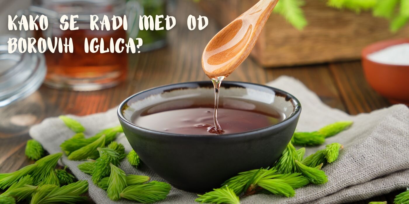 Kako se radi med od borovih iglica? Lako i Jednostavno!